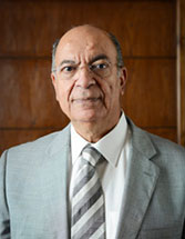 Dr. Mohamed Abdel-Gawad - Founder